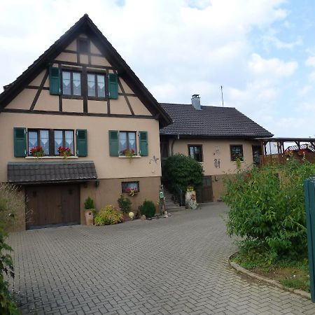 Gite 3 Frontieres Hagenthal-le-Bas Екстер'єр фото