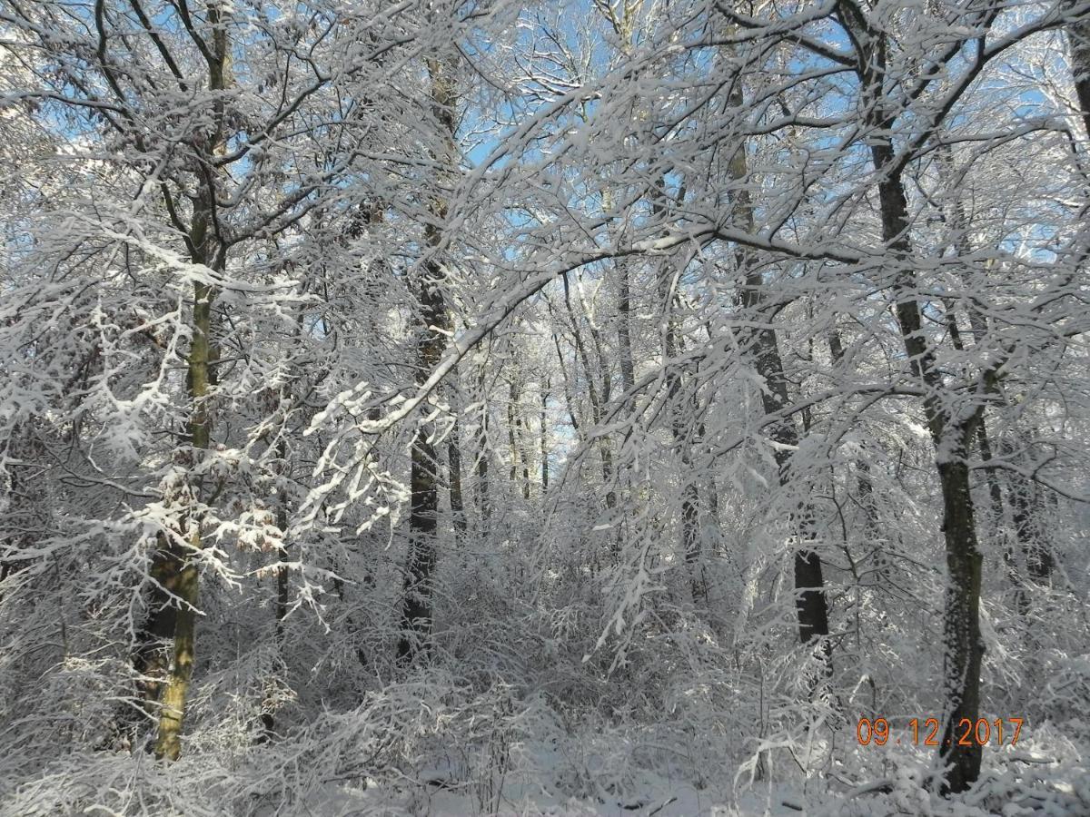 Gite 3 Frontieres Hagenthal-le-Bas Екстер'єр фото