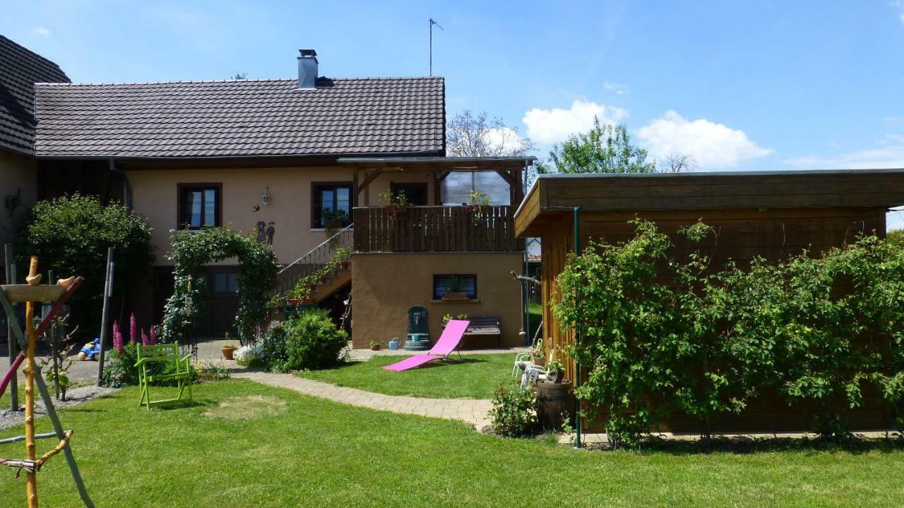 Gite 3 Frontieres Hagenthal-le-Bas Екстер'єр фото