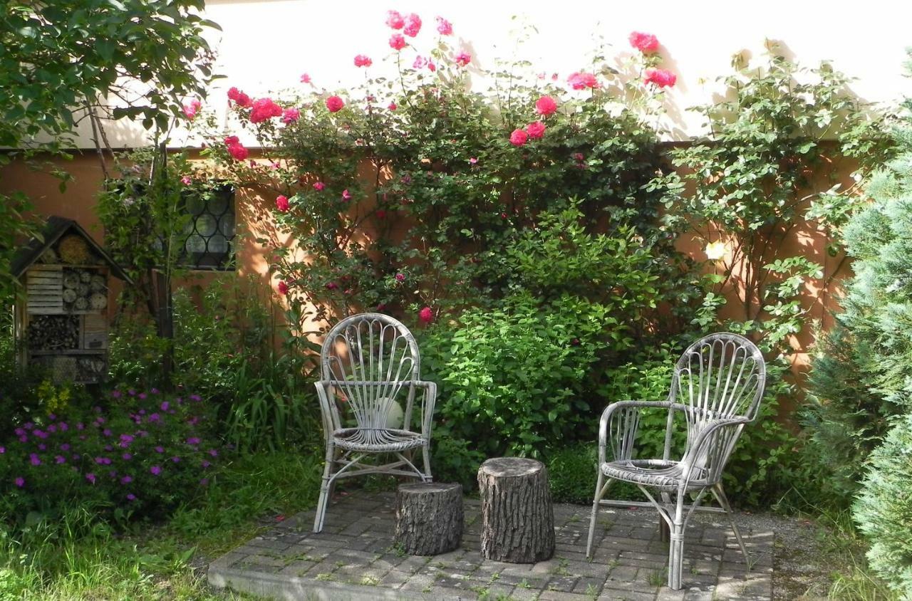 Gite 3 Frontieres Hagenthal-le-Bas Екстер'єр фото